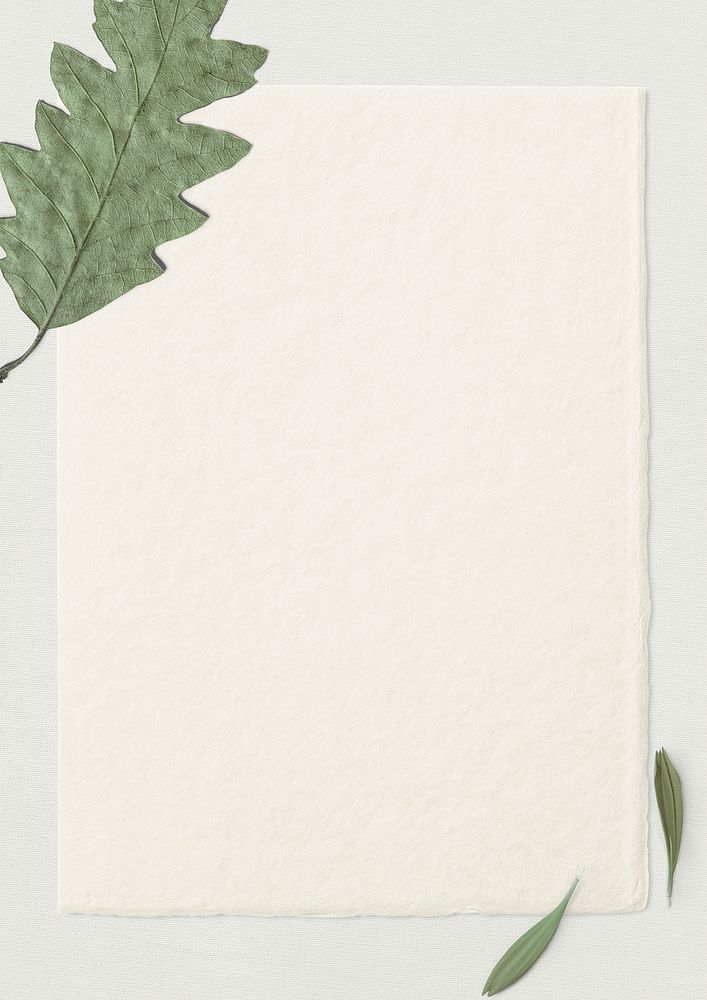 Dried leafy paper card psd background