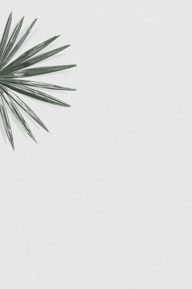 Green palm leaf psd on a white background
