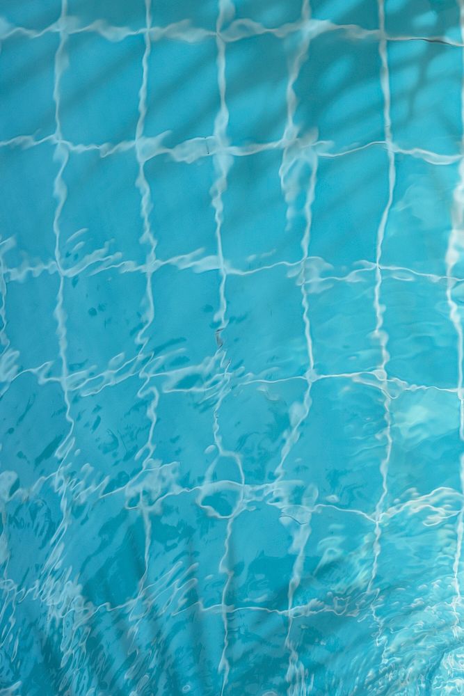 Palm leaf shadow reflecting in the pool