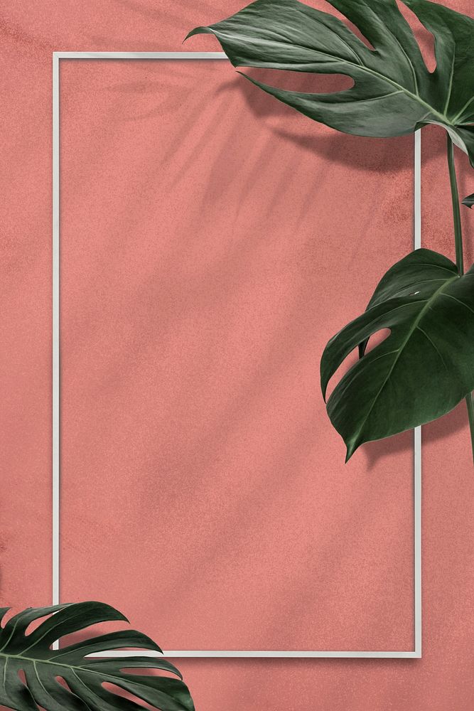 Rectangle Monstera leaves frame on pink background