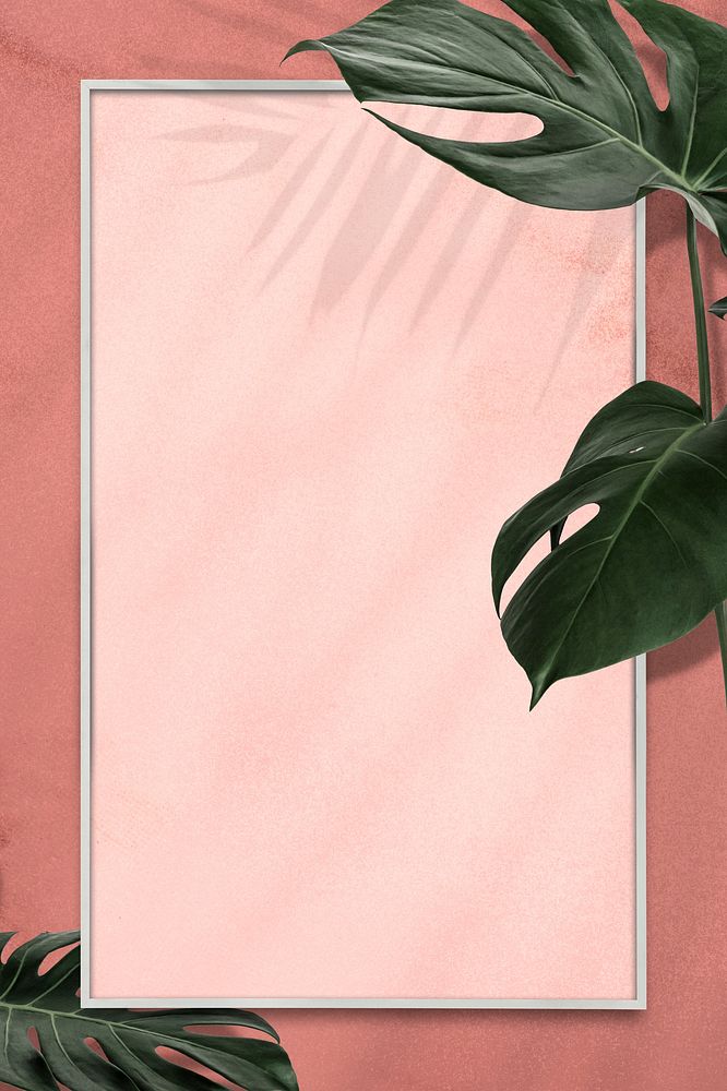 Rectangle Monstera leaves frame on pink background