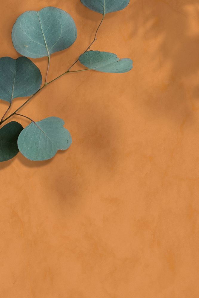 Eucalyptus frame on a brown background 