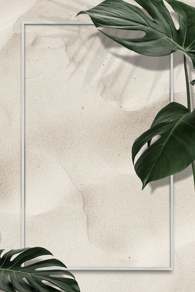 Rectangle Monstera leaves frame on sandy background