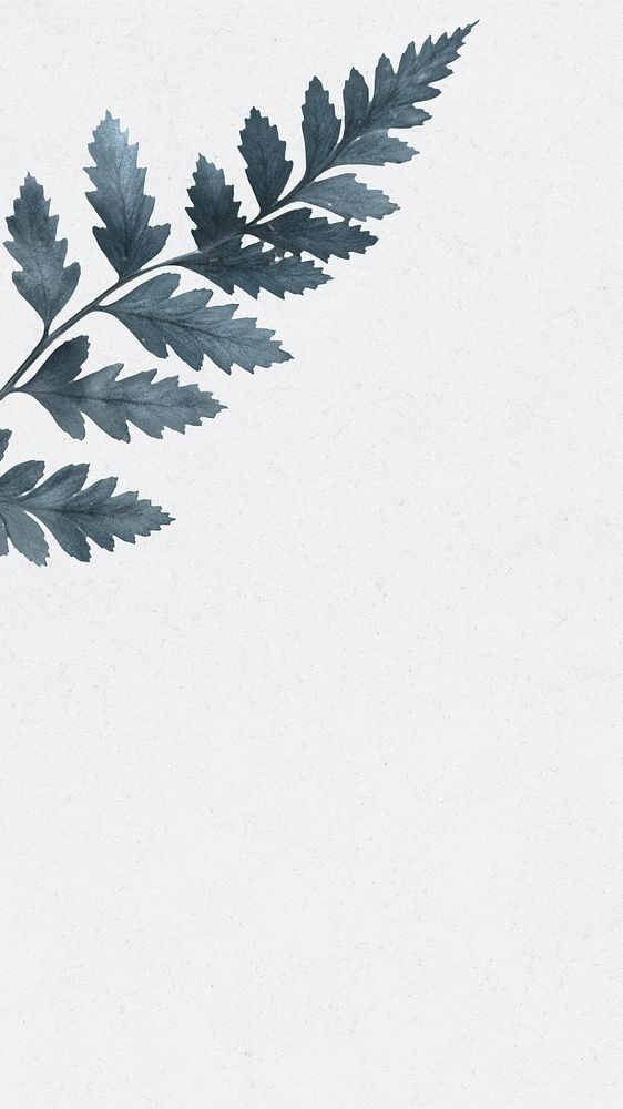 Leatherleaf fern background design space