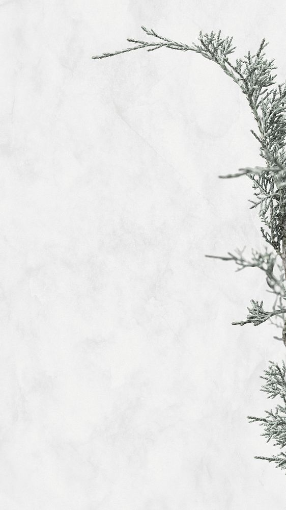 Wintery whiter background psd pine tree