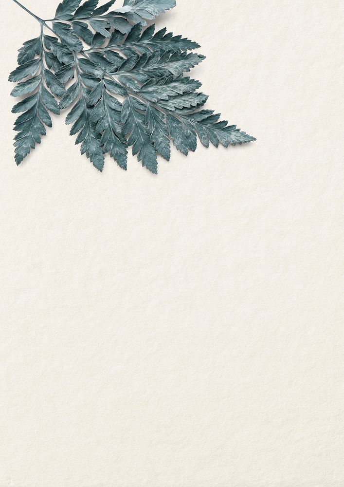 Leatherleaf fern psd blank beige background