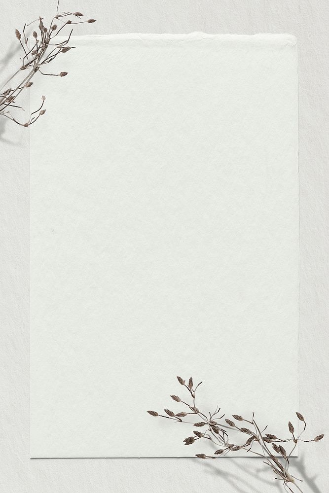 Dry branch psd off white background text space
