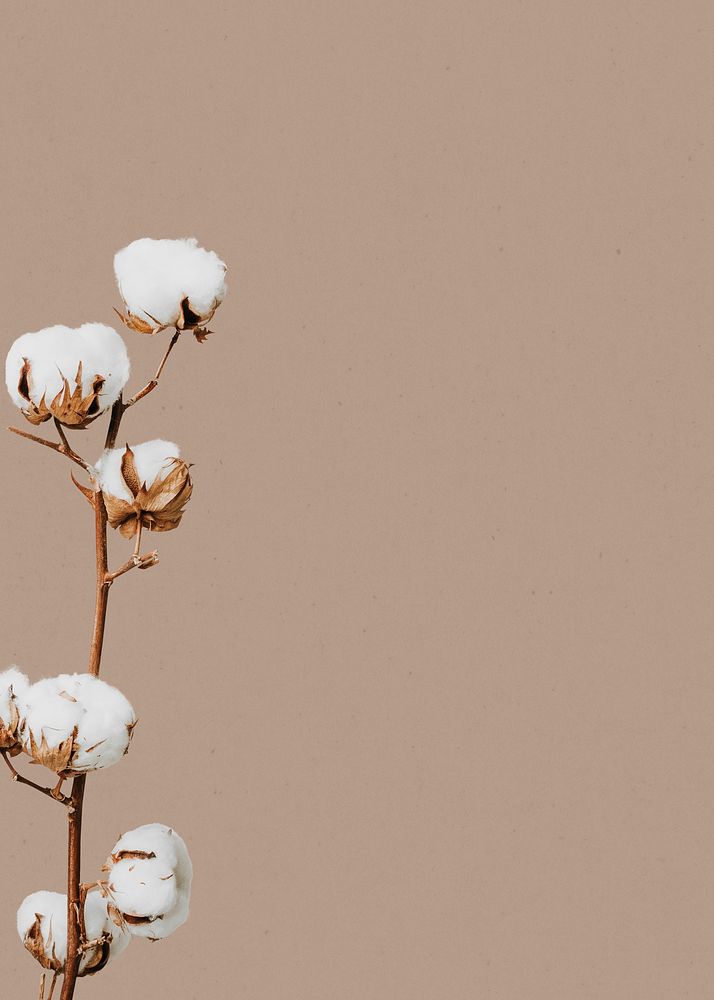 Beige minimal flower background design space