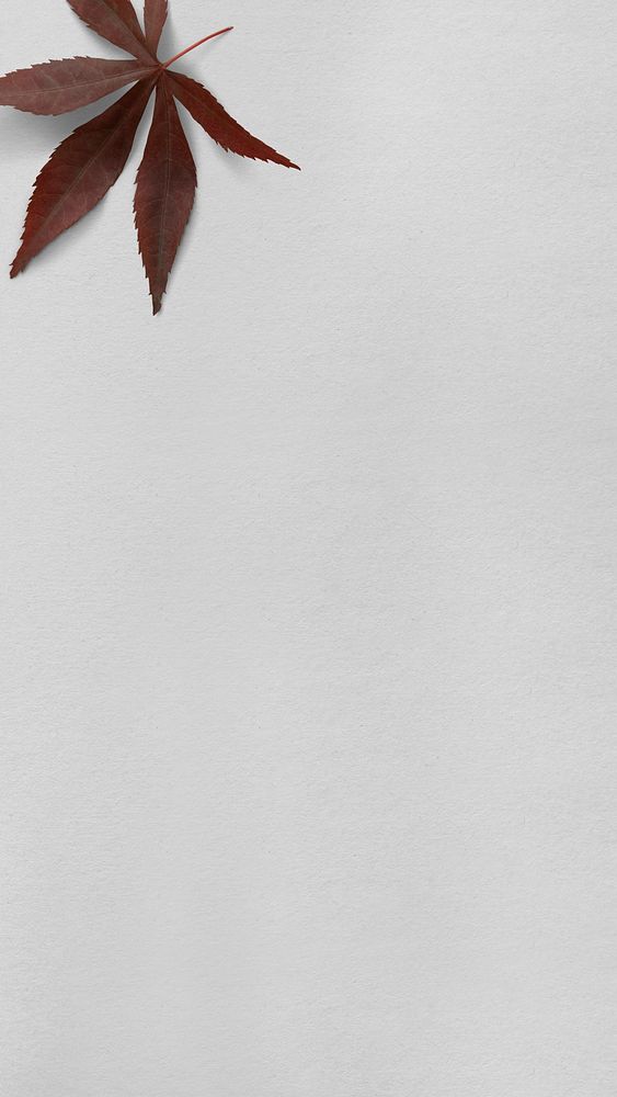 Gray botanical mobile wallpaper with maple leaf