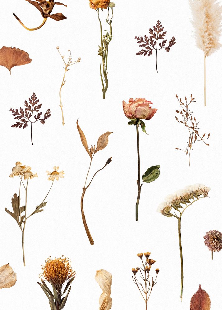 Dried flower and leaf patterned background