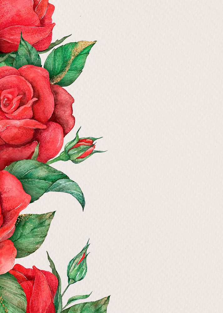Blooming red rose border card psd background