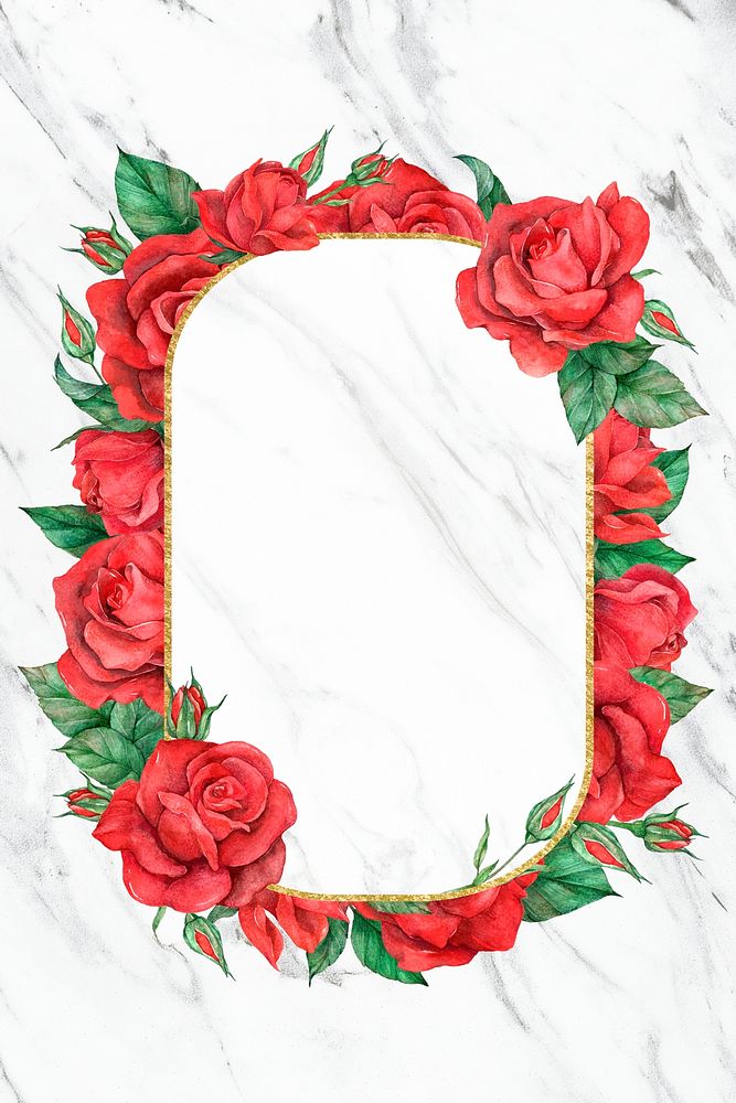 Blooming red rose psd frame