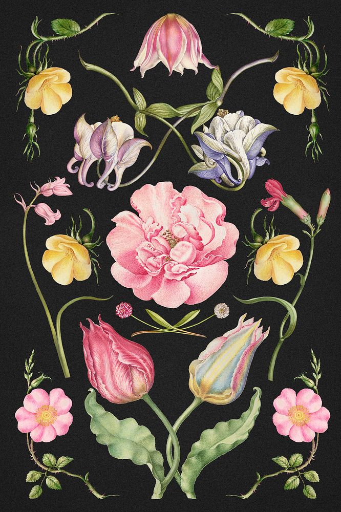 Vintage blooming flower illustration psd set, remix from The Model Book of Calligraphy Joris Hoefnagel and Georg Bocskay