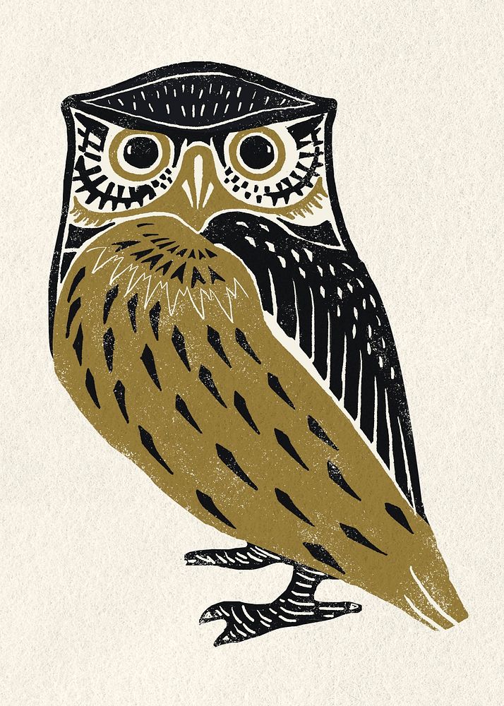 Owl bird stencil pattern psd drawing