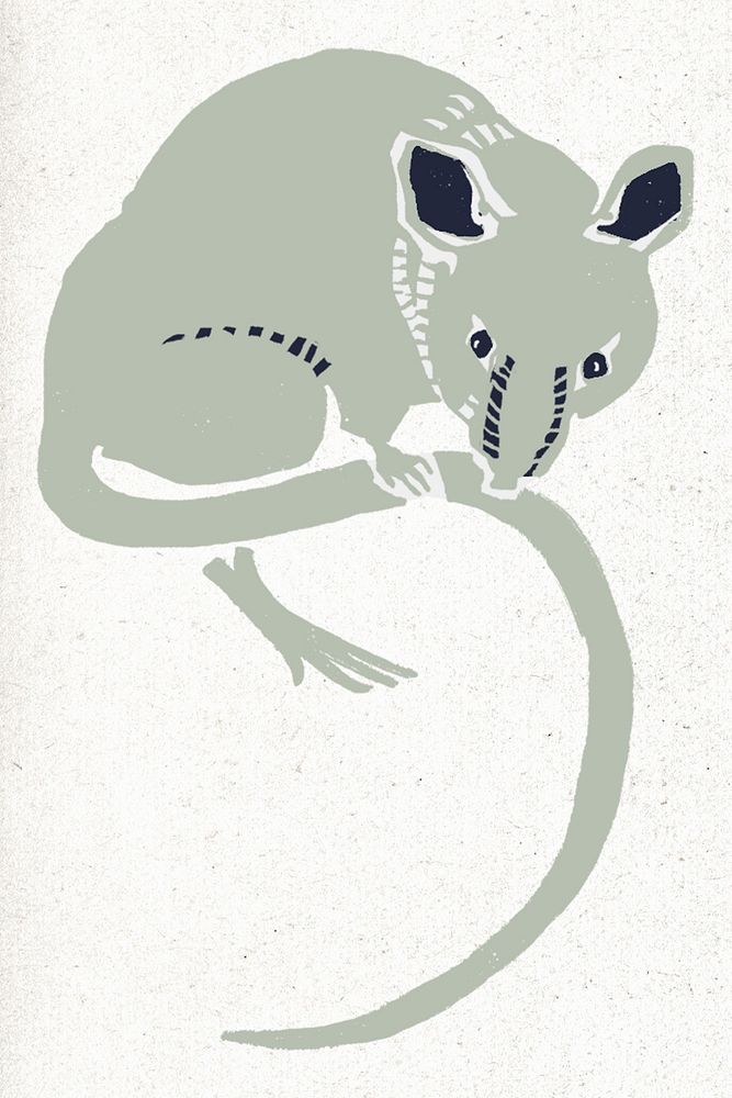 Rat vintage animal linocut drawing