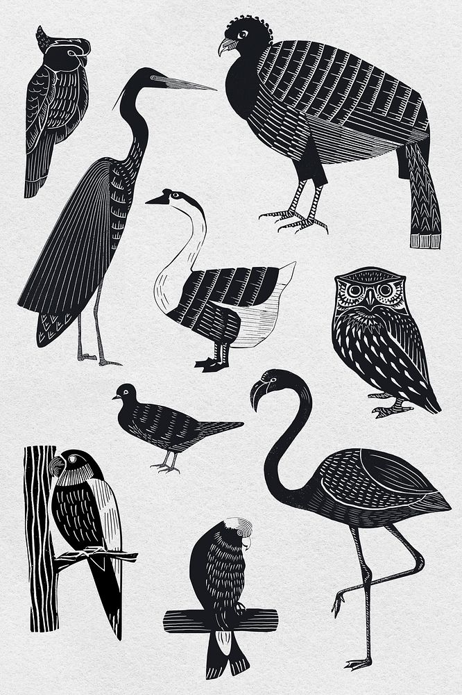 Birds psd black linocut stencil pattern drawing set