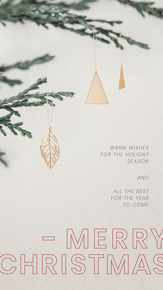 Season's greeting wish card vector Christmas ornament decorated
