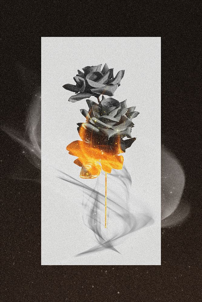 Paper psd mockup with burning black rose 