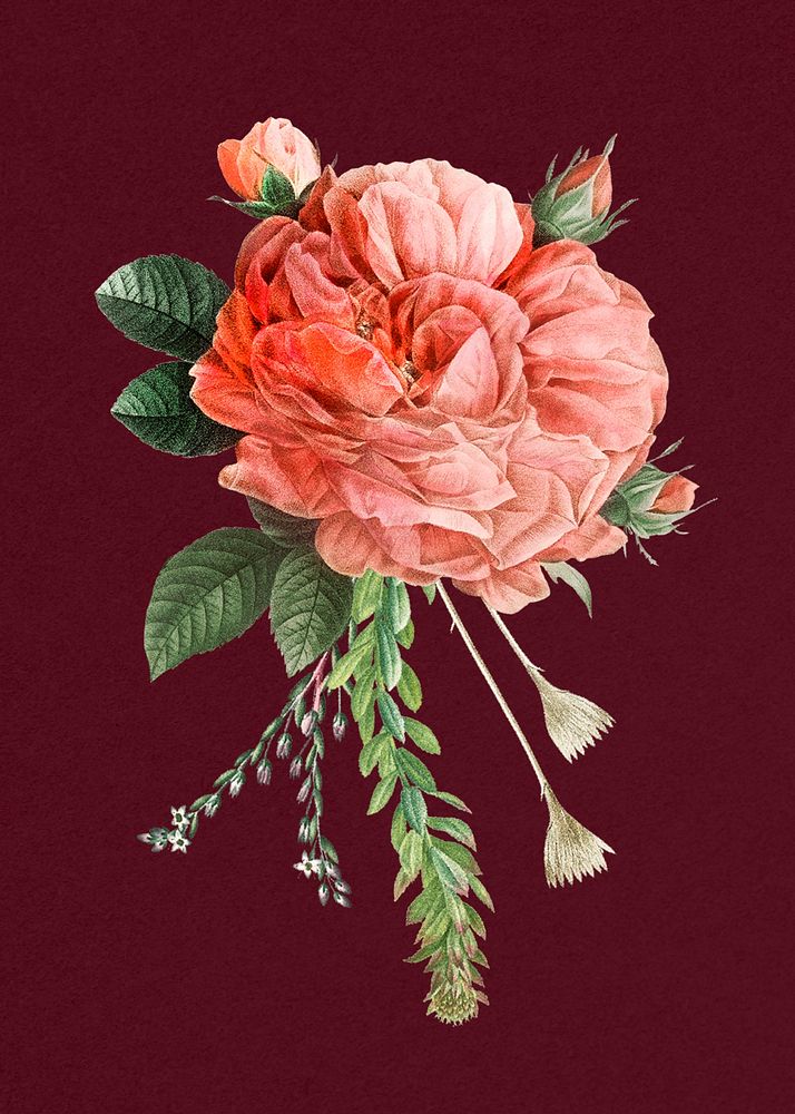 Vintage pink French rose bouquet hand drawn illustration