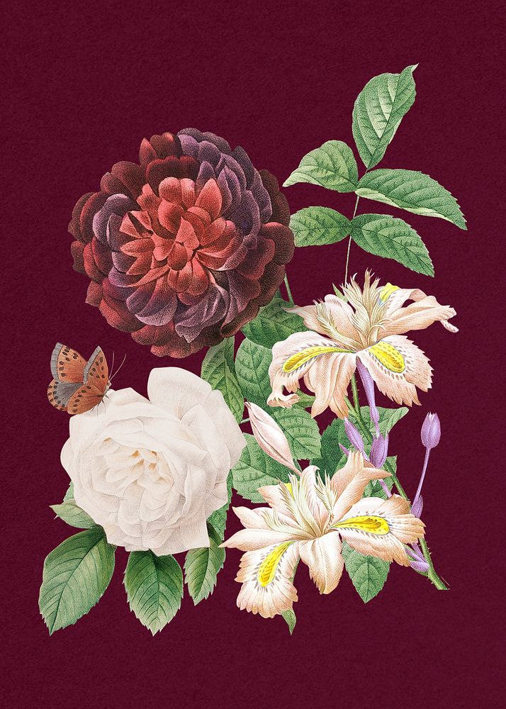 Vintage red guerin's rose flowers bouquet illustration