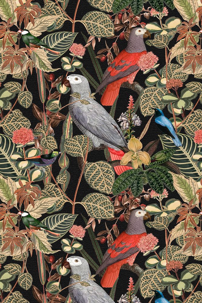 Bird pattern background jungle illustration