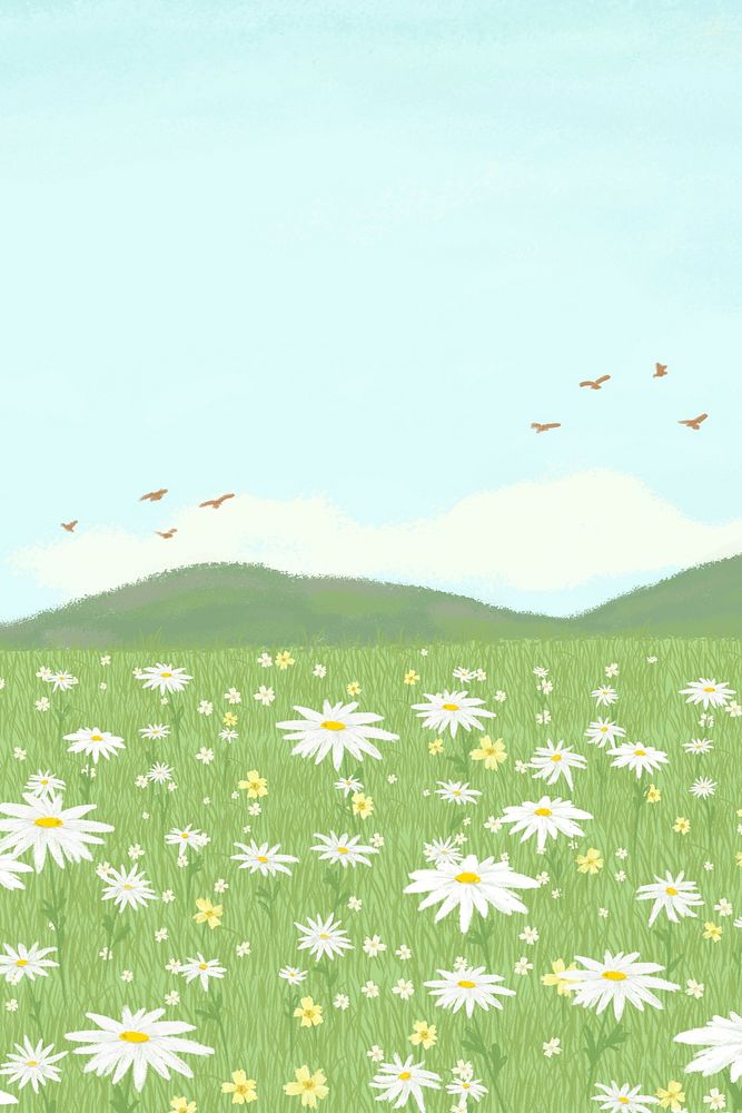 Blooming daisy field psd background with mountain social media banner