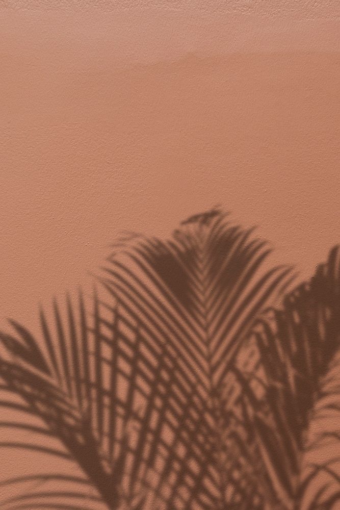 Background psd with shadow of a palm tree