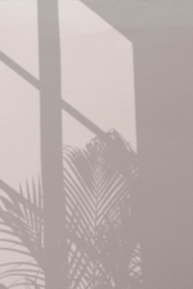 Background with palm tree and window shadow