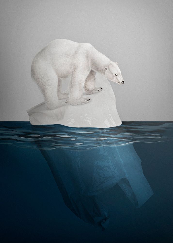 Polar bear standing on melting iceberg animal extinction campaign