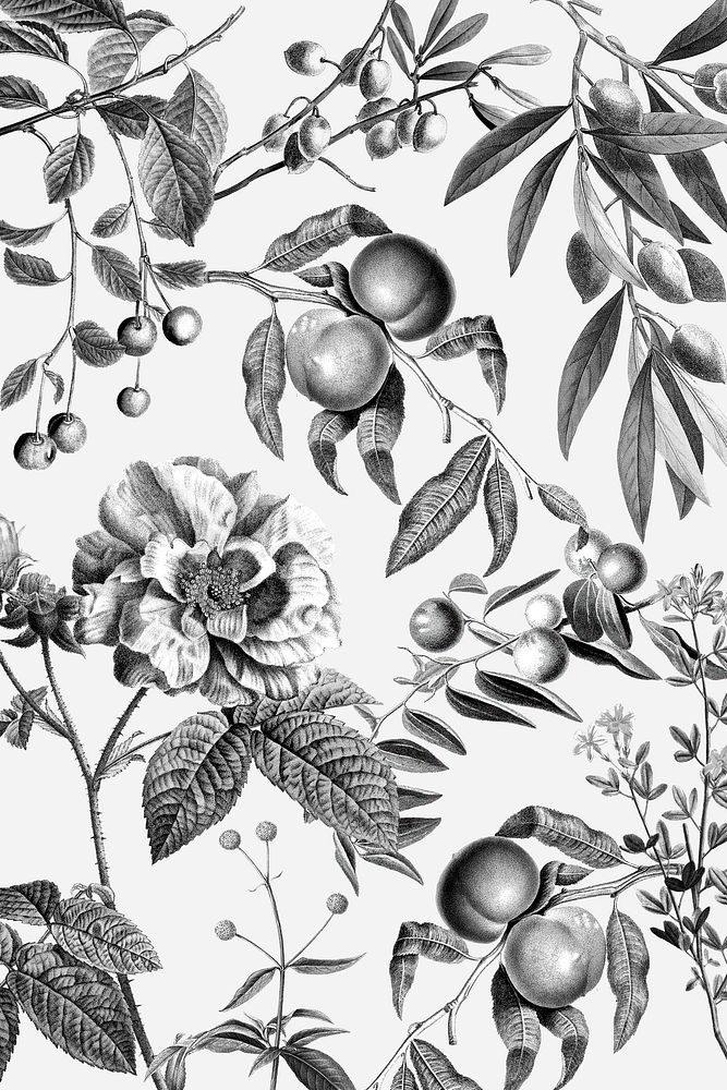 Elegant rose floral pattern psd black and white fruits vintage illustration