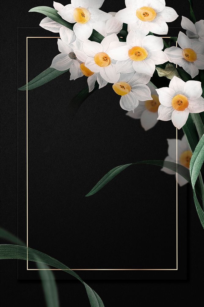 Gold frame psd with daffodil border on black background