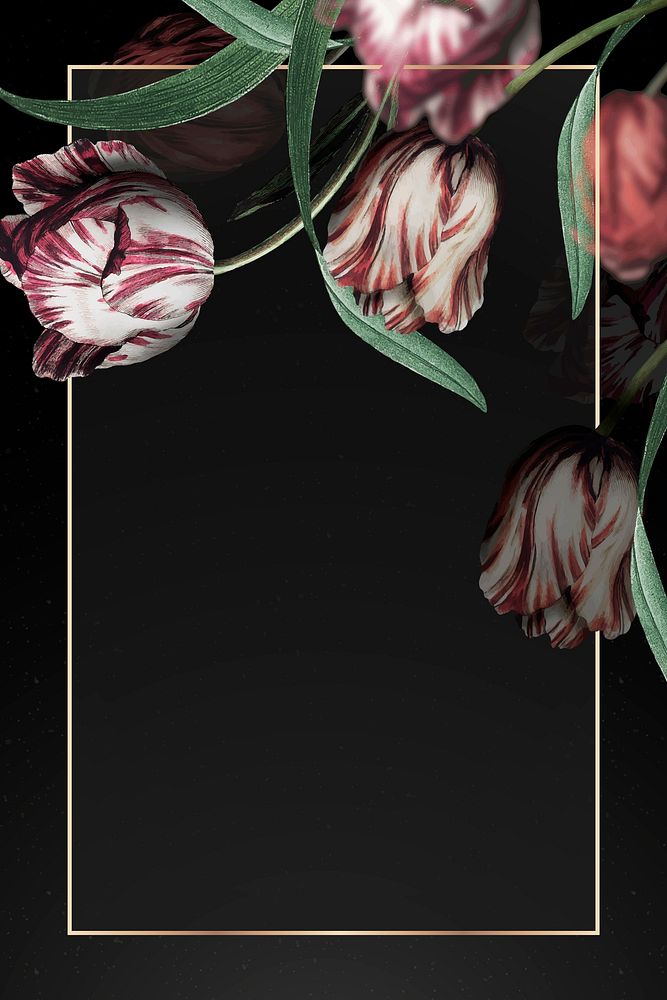 Gold frame vector with tulip border on black background