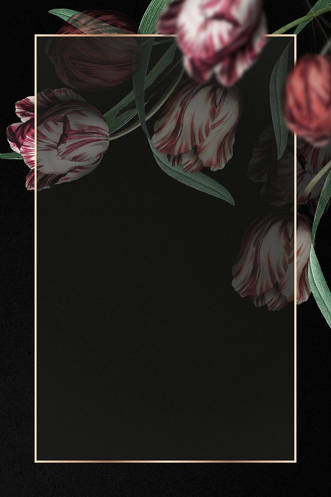 Gold frame psd with tulip border on black background