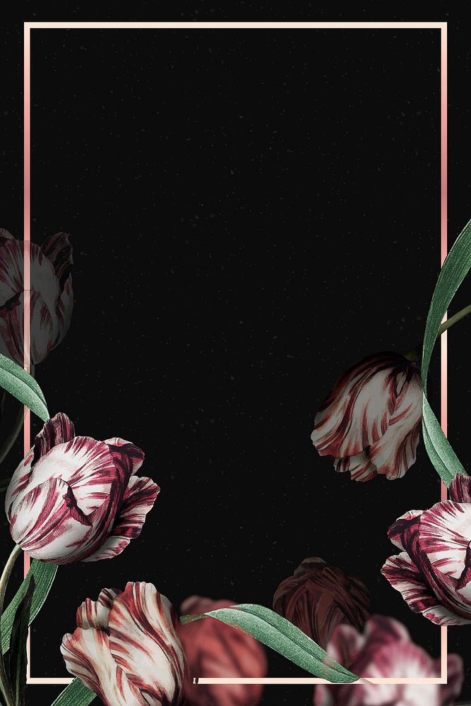 Tulip border frame vector on black background