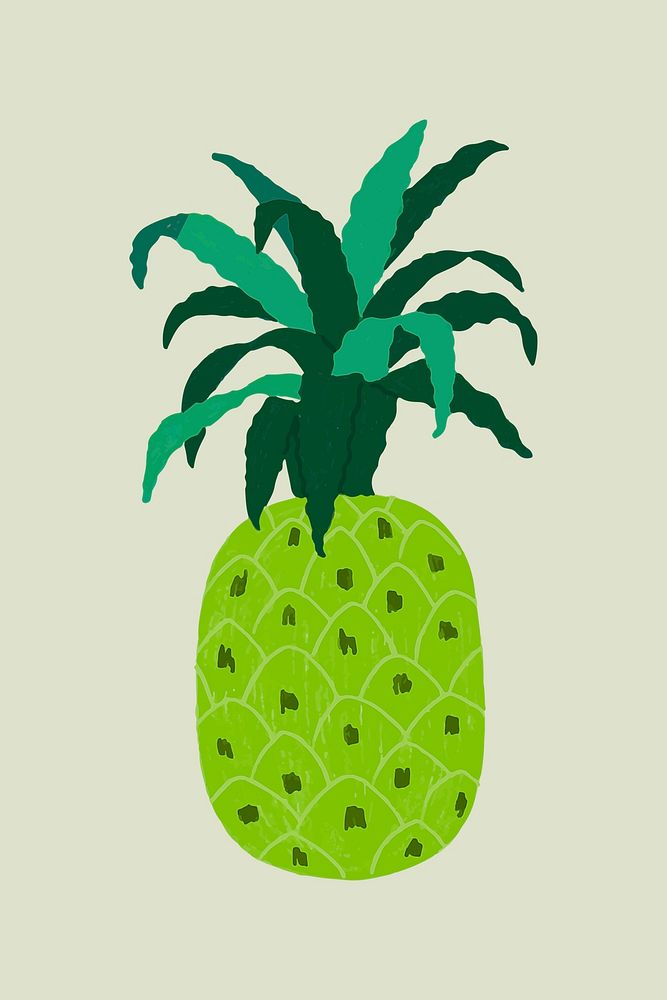 Green pineapple tropical fruit illustration