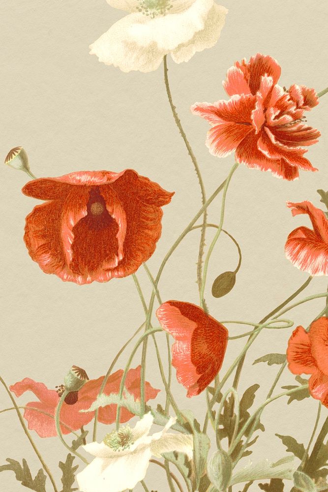 Vintage floral background with poppy flower illustration, remixed from public domain artworks
