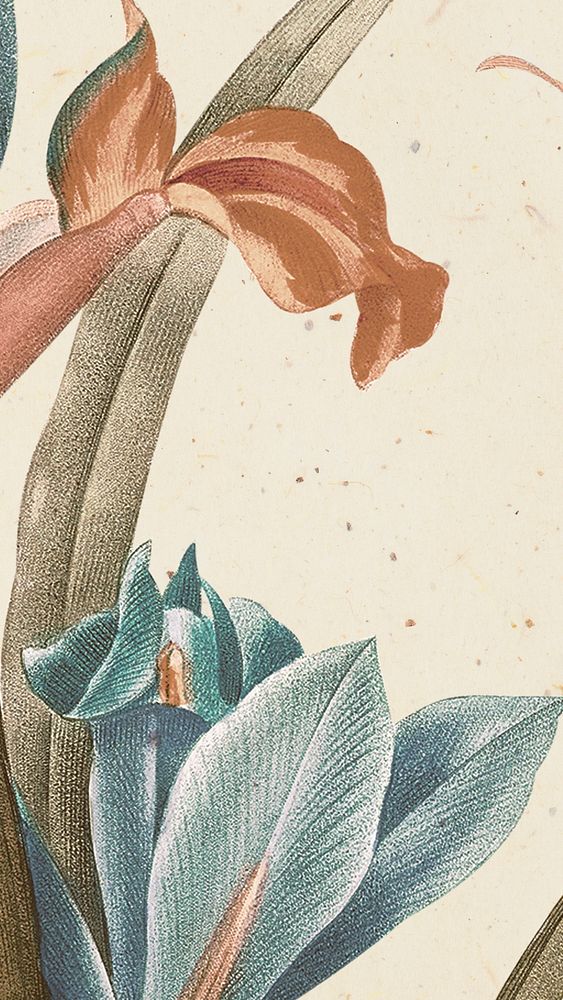 Vintage floral phone wallpaper illustration, remixed from public domain artworks