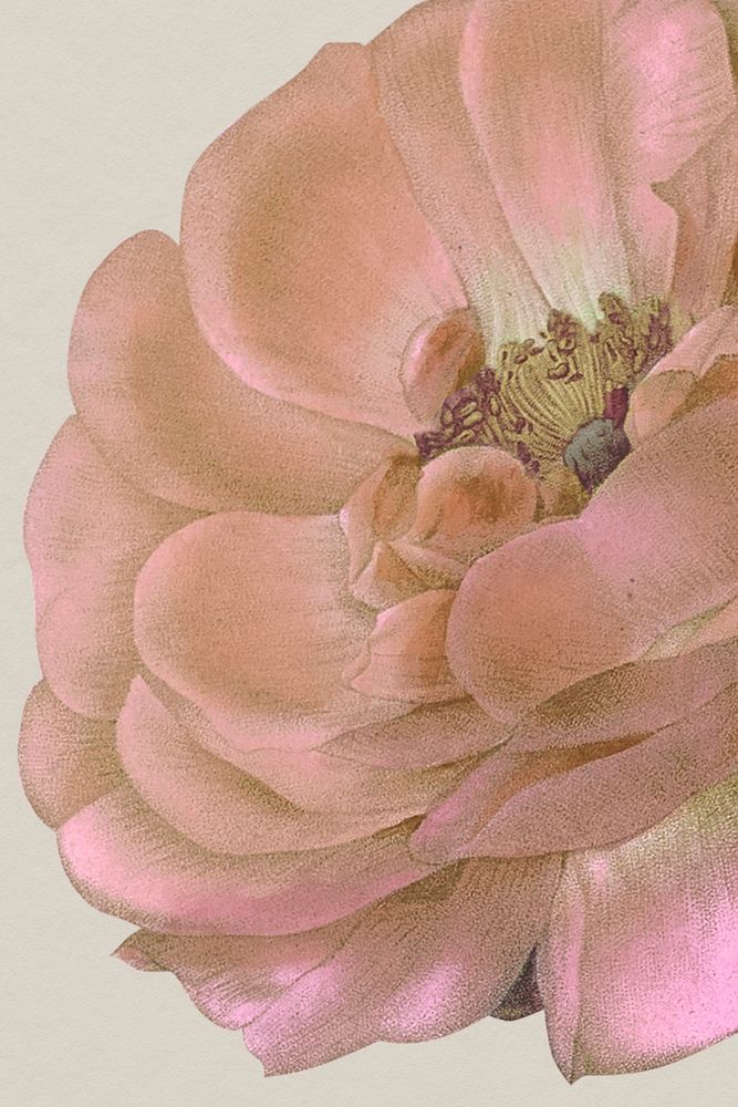 Vintage spring flower background illustration, remixed from public domain artworks