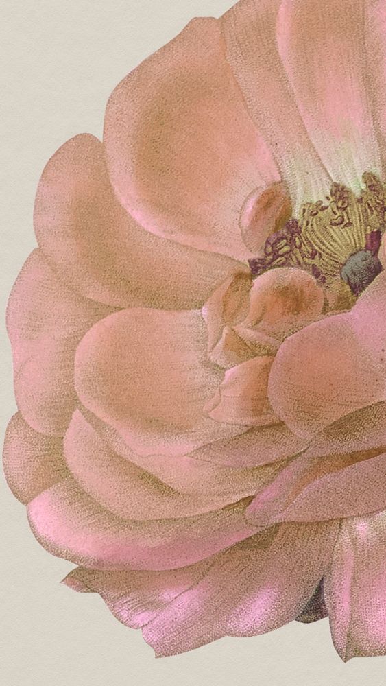 Vintage floral phone wallpaper illustration, remixed from public domain artworks