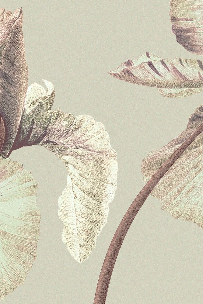 Vintage Spanish iris flower background illustration, remixed from public domain artworks