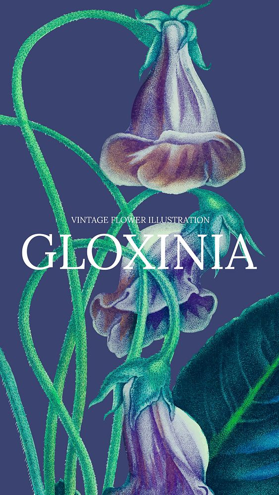 Floral template vector with gloxinia background, remixed from public domain artworks