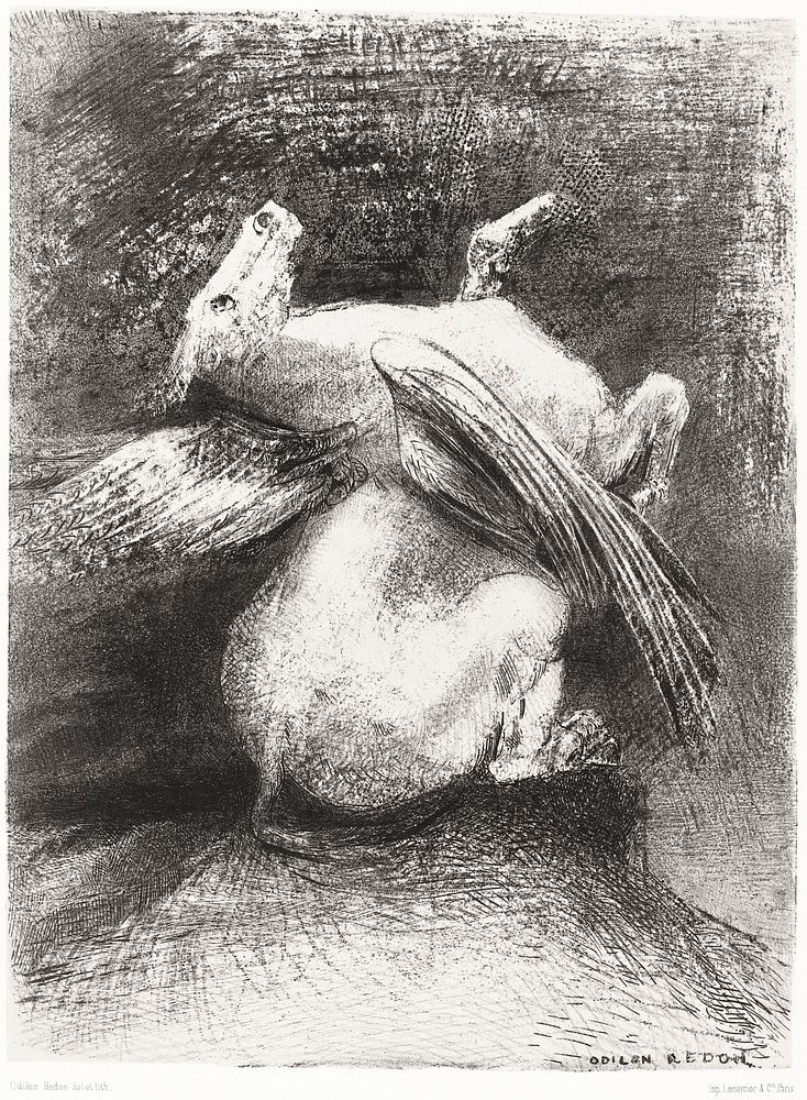 The Impotent Wing Did Not Lift the Animal Into That Black Space (1883) by Odilon Redon. Original from the National Gallery…
