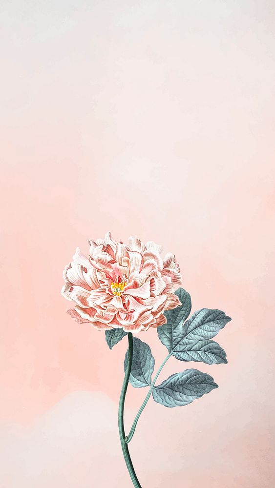 Floral peony mobile phone wallpaper vector