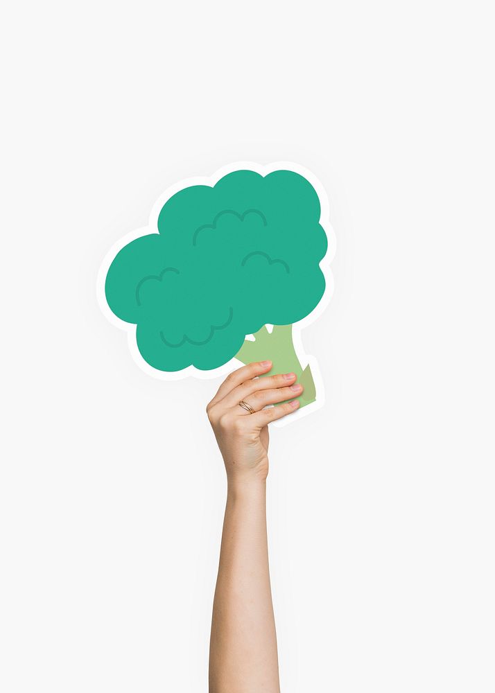 Hand holding a broccoli cardboard prop