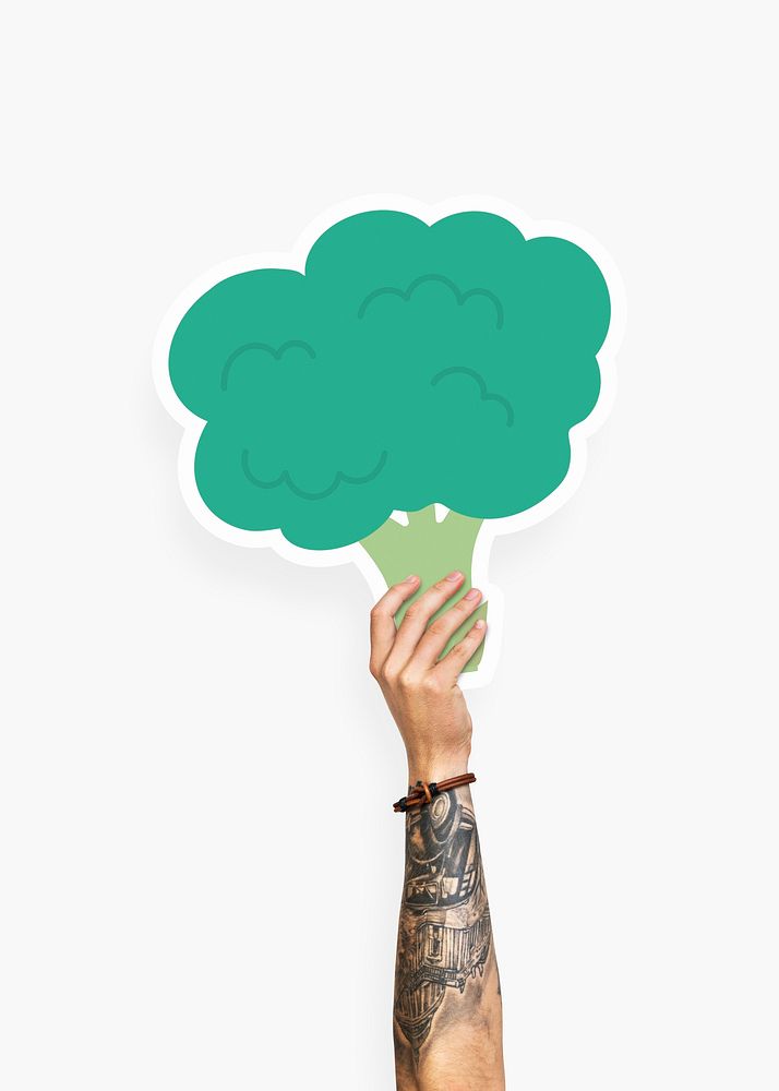 Hand holding a broccoli cardboard prop