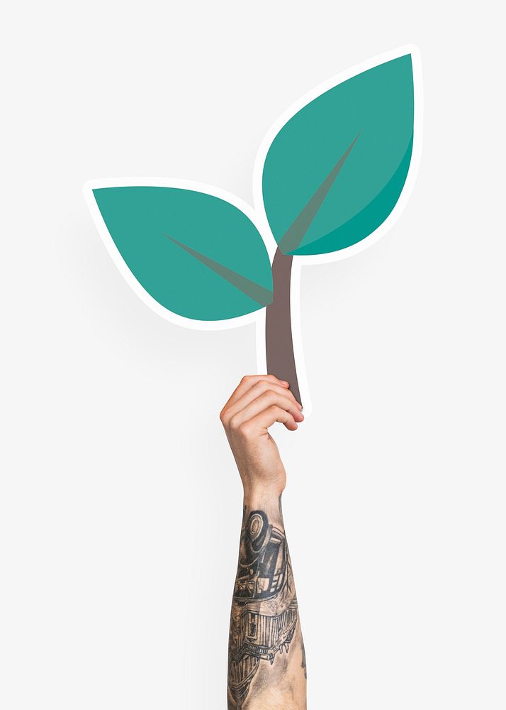 Hand holding a growing plant cardboard prop