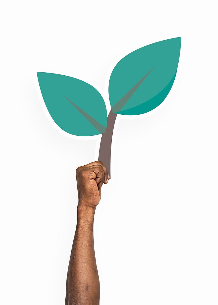 Hands holding plant leaves clipart