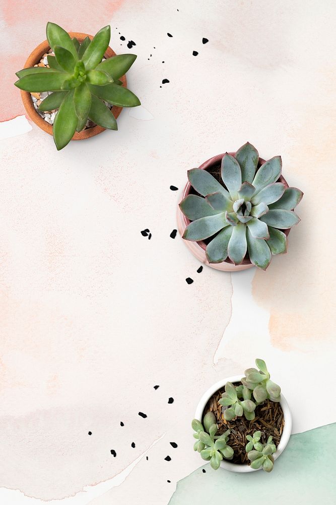 Background mockup psd with potted succulent border flat lay
