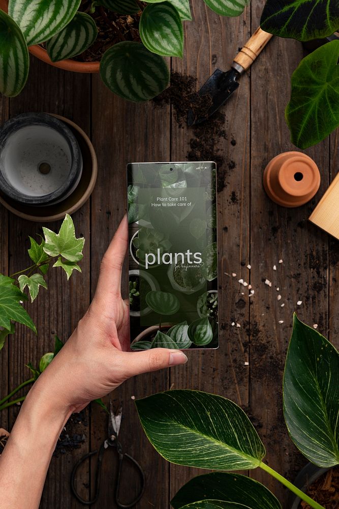 Phone screen mockup psd in with plant care guide website