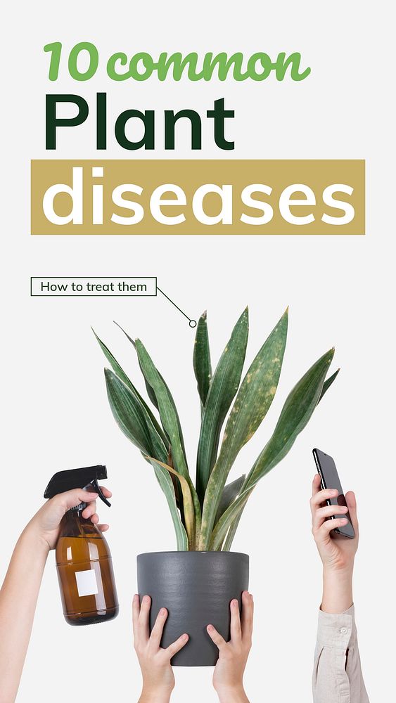 Common plant diseases template vector
